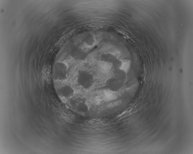 X0000066510867200604071524