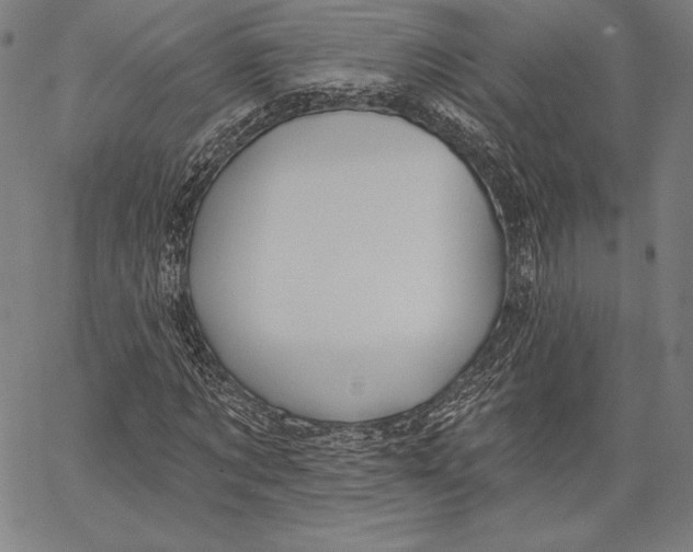 X0000066510869200604071524