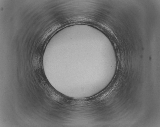X0000066510873200604071524