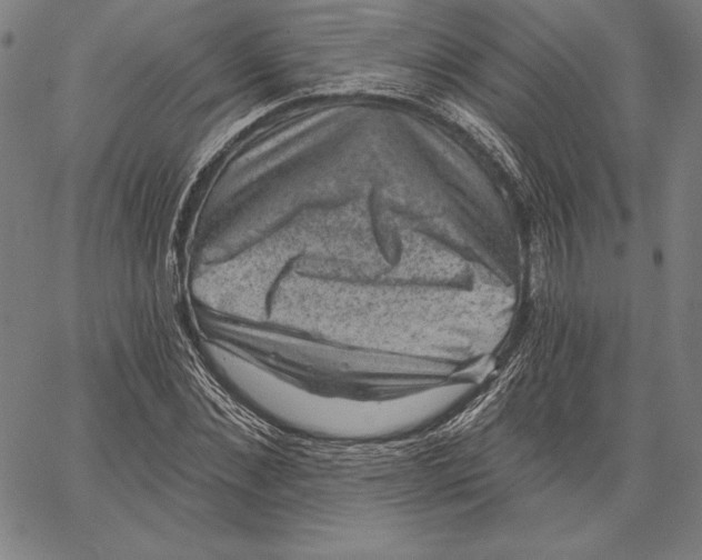 X0000066510876200604071524