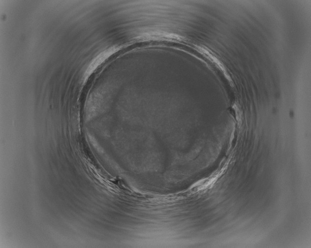 X0000066510877200604071524