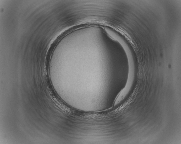 X0000066510880200604071524