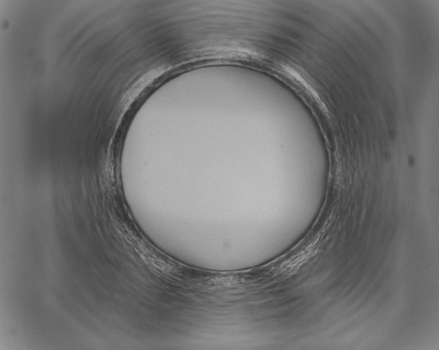 X0000066510883200604071524