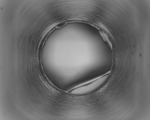 X0000066510884200604071524
