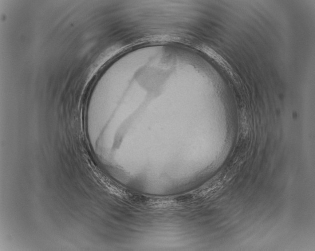 X0000066510886200604071524