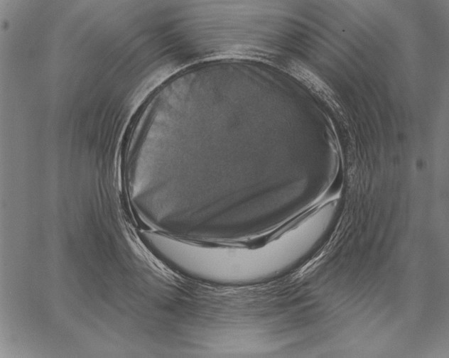 X0000066510892200604071524