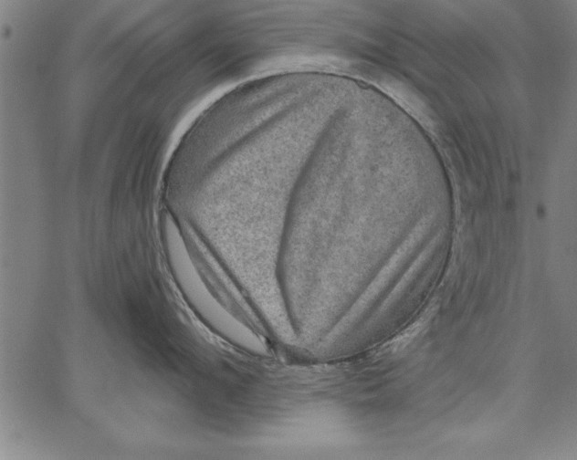 X0000066510912200604071524