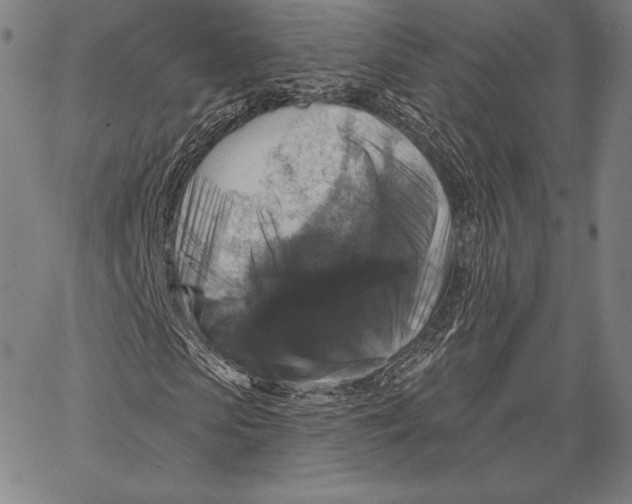 X0000066510913200604071523