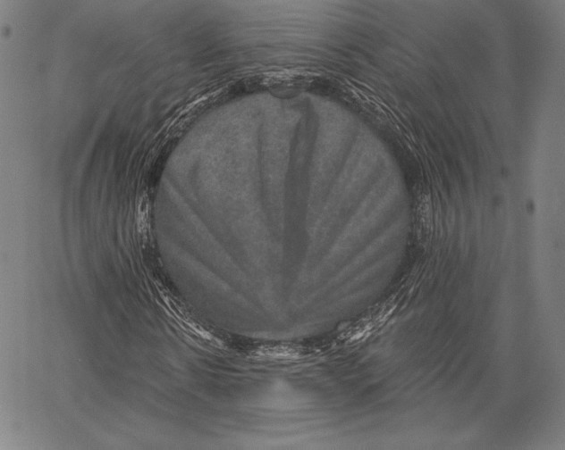 X0000066510914200604071523