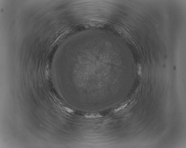 X0000066510915200604071523