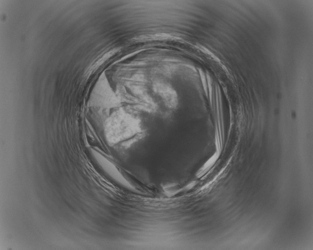 X0000066510921200604071523