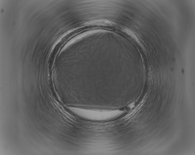X0000066510923200604071523