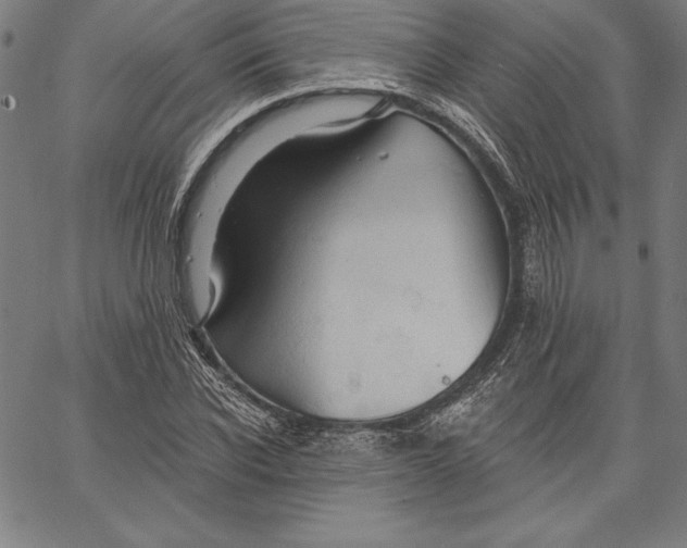X0000066510926200604071523
