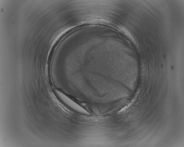X0000066510932200604071523