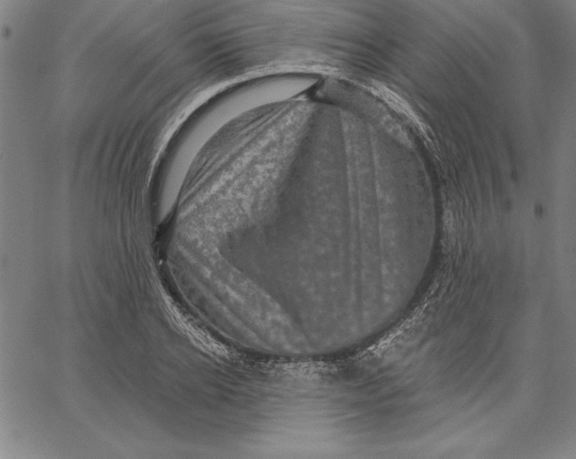 X0000066510934200604071523