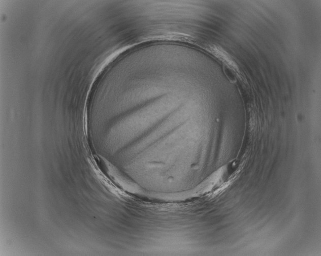 X0000066510940200604071523
