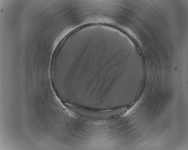 X0000066510943200604071523