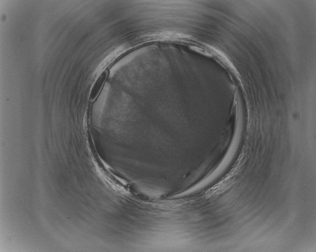 X0000066510946200604071523