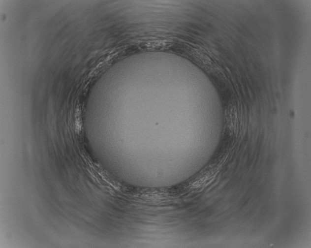 X0000066510962200604071523