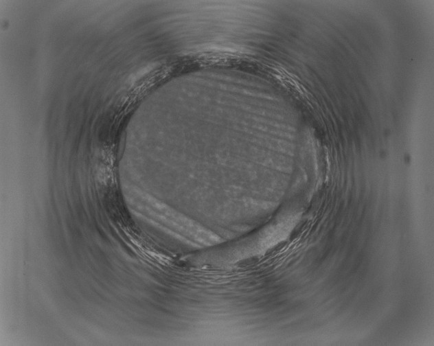X0000066510964200604071523