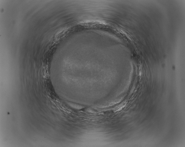 X0000066510965200604071523