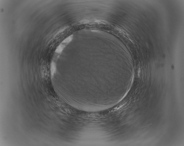 X0000066510966200604071523