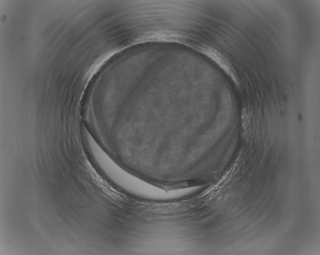 X0000066510972200604071523
