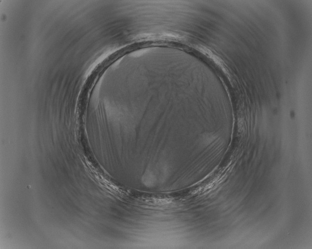 X0000066510975200604071523