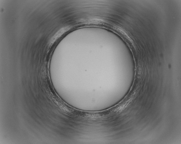 X0000066510978200604071523
