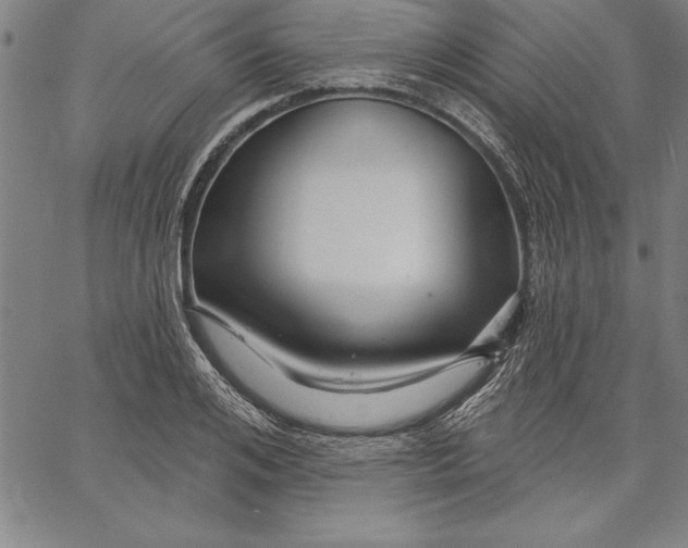 X0000066510984200604071523