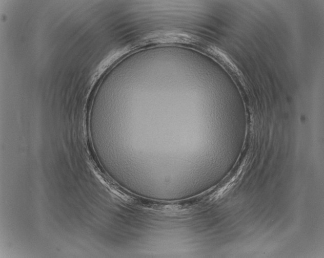 X0000066510986200604071523
