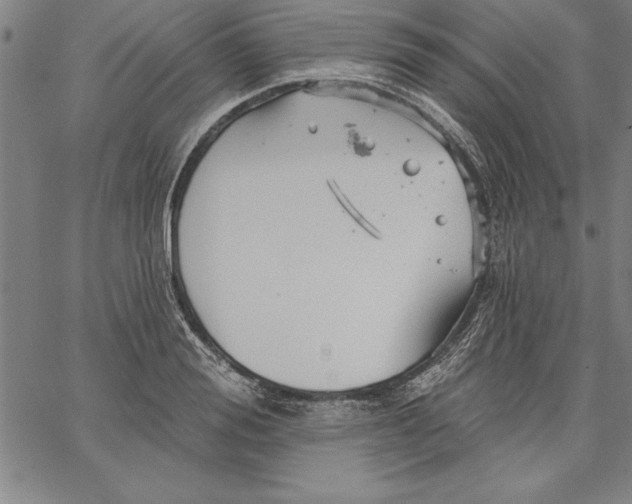 X0000066510988200604071522