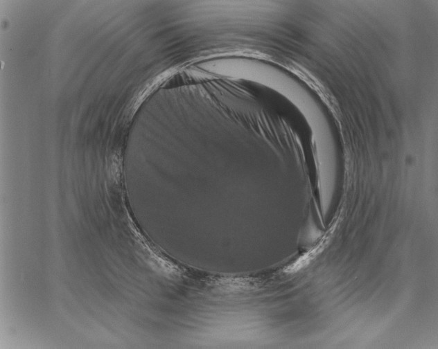 X0000066510993200604071522
