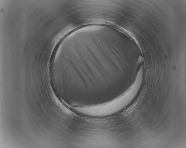 X0000066510995200604071522