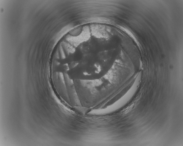 X0000066510999200604071522