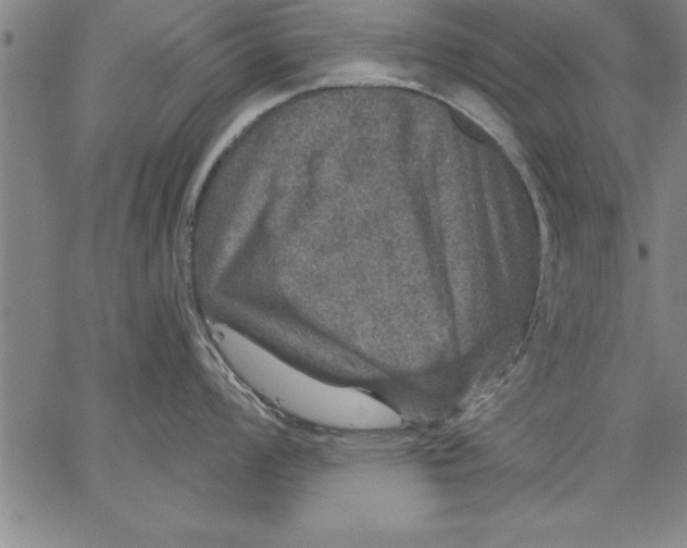 X0000066511008200604071522
