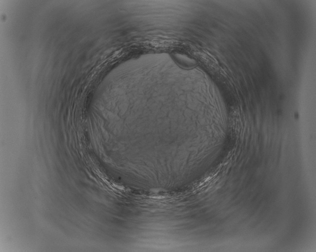 X0000066511009200604071521