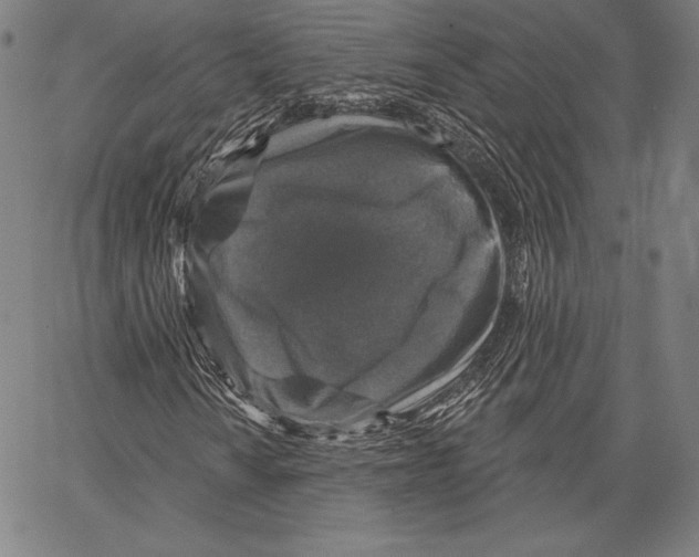 X0000066511010200604071521