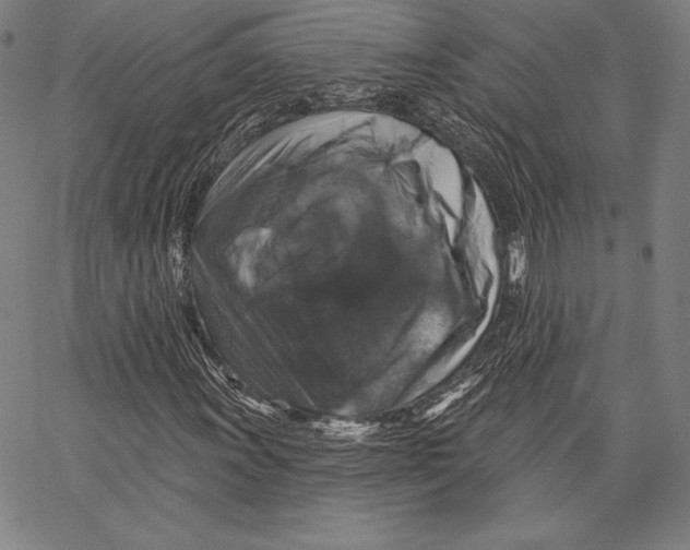 X0000066511011200604071521
