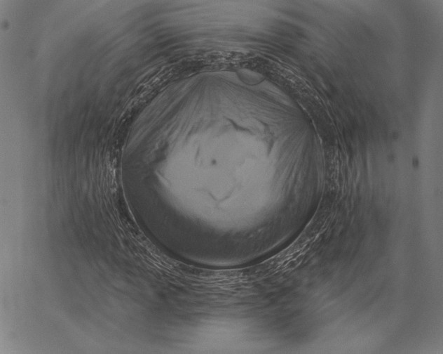 X0000066511013200604071521