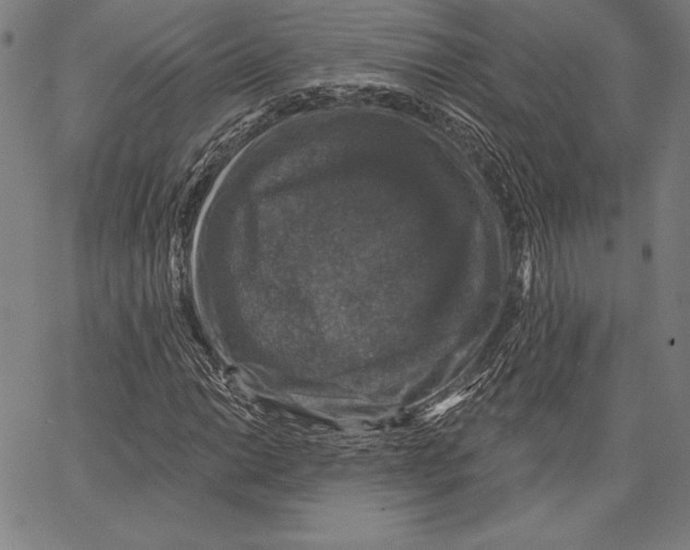 X0000066511014200604071521