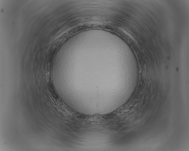 X0000066511015200604071522