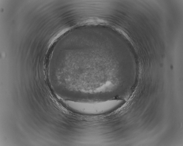 X0000066511018200604071522