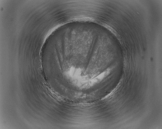 X0000066511022200604071522