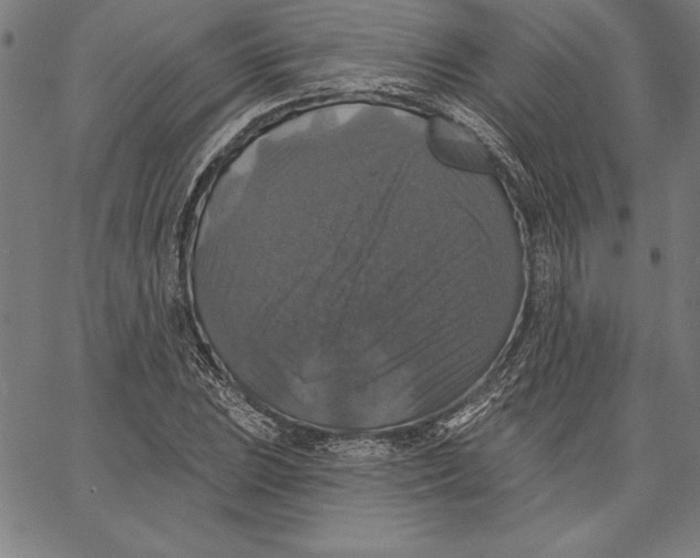 X0000066511023200604071522