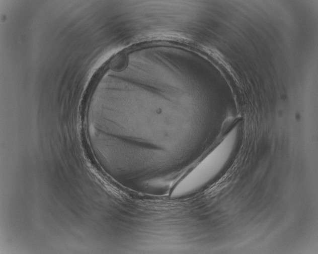 X0000066511024200604071522