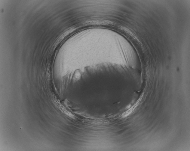 X0000066511025200604071522