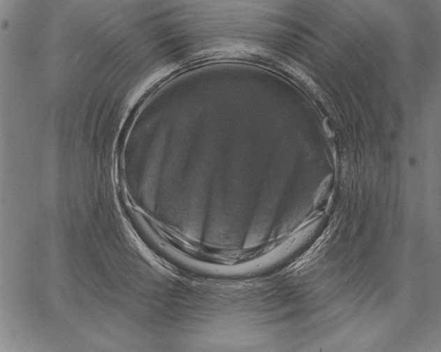 X0000066511034200604071522