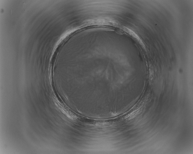 X0000066511035200604071522