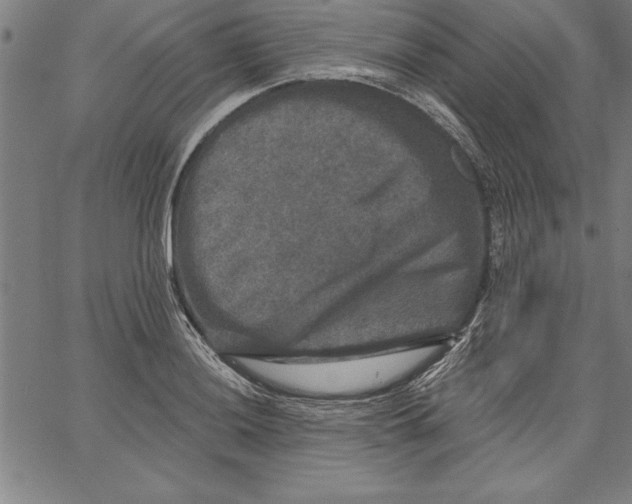 X0000066511036200604071522